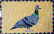Hannah's Pigeon mosaic